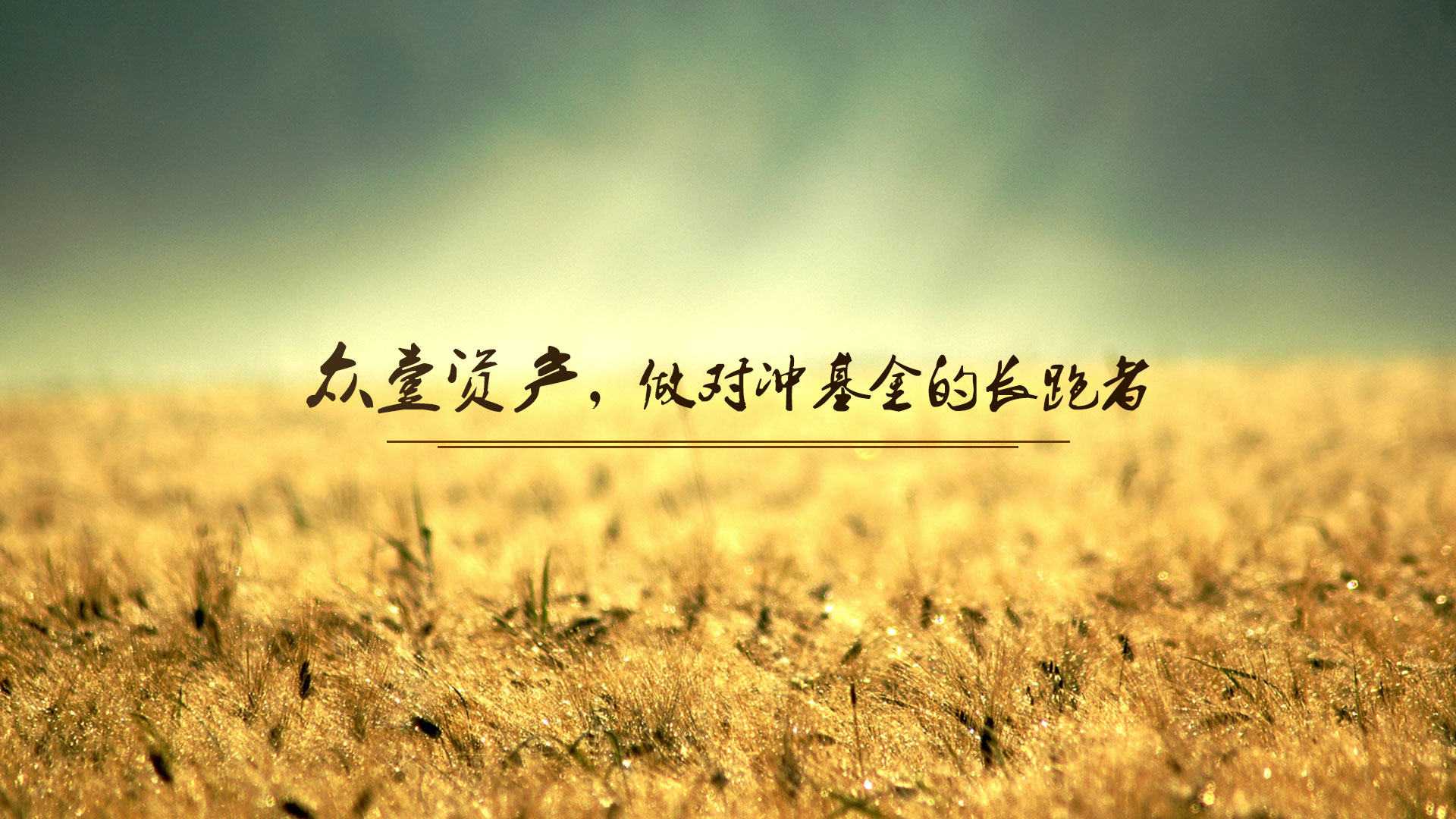 Full Screen Image